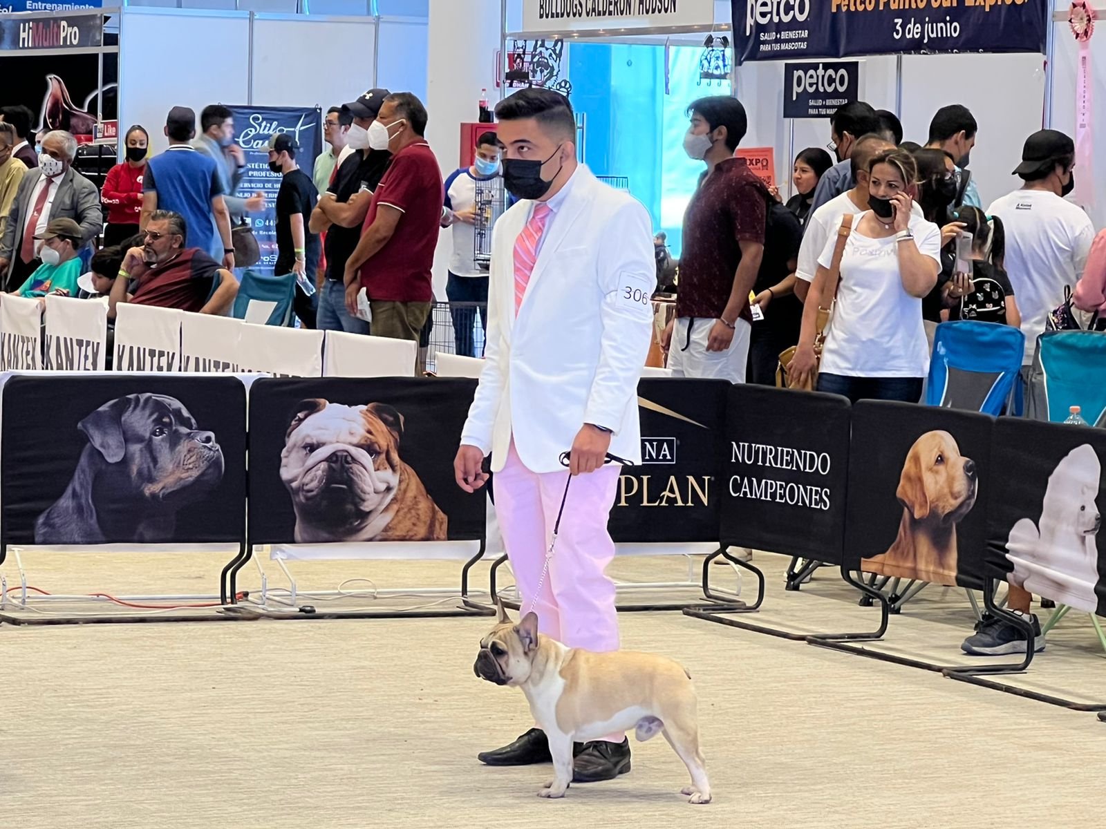 Bulldog Movil | Home